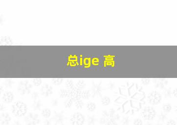 总ige 高